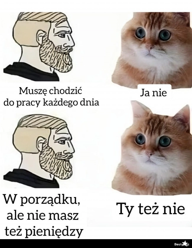 
    Ty też nie 