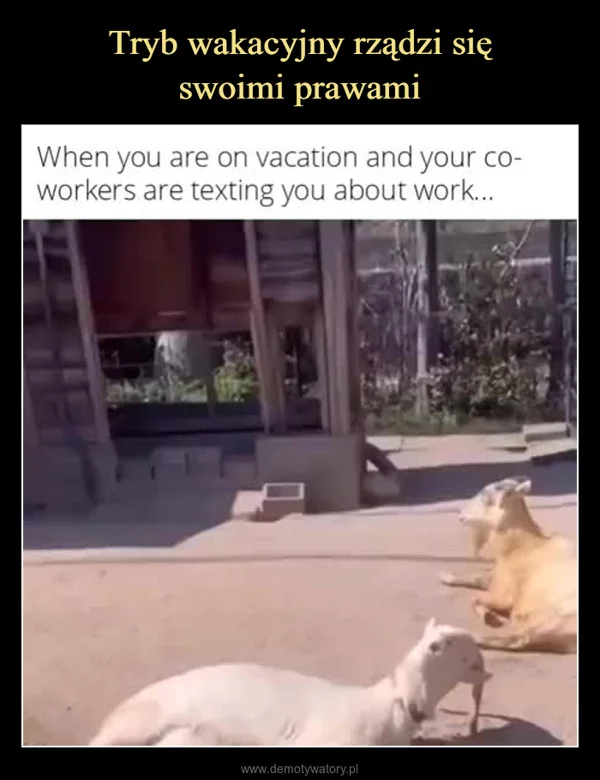 
    Tryb wakacyjny rządzi się swoimi prawami