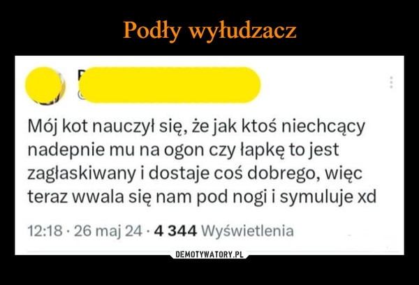 
    Podły wyłudzacz