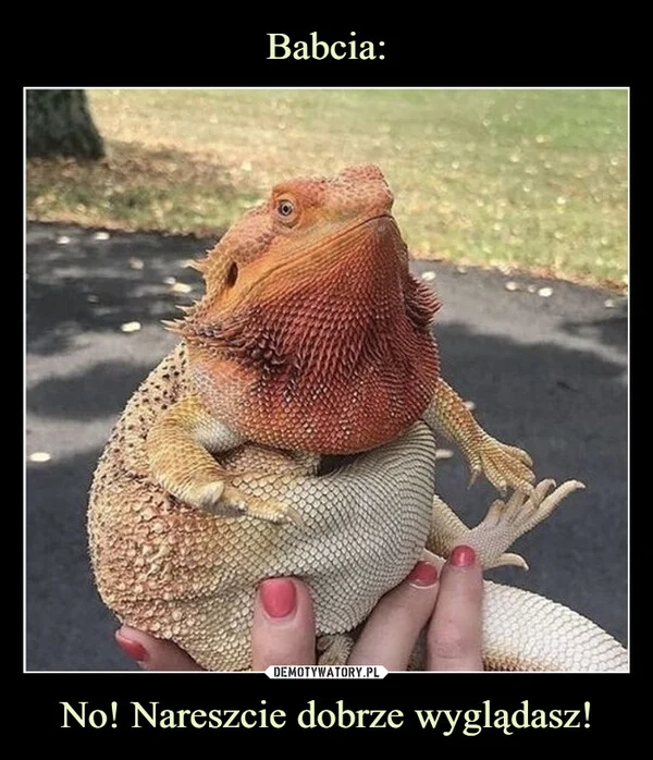 
    Babcia: No! Nareszcie dobrze wyglądasz!