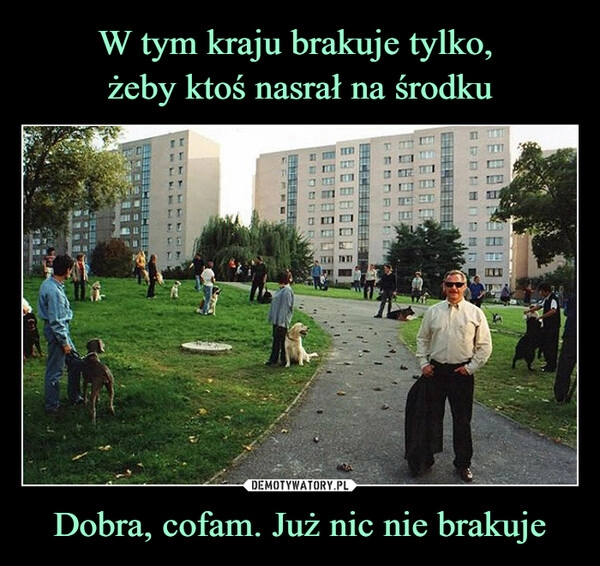 
    W tym kraju brakuje tylko, 
żeby ktoś nasrał na środku Dobra, cofam. Już nic nie brakuje