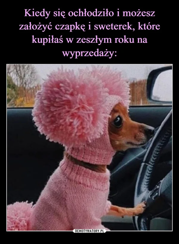 
    Kiedy się ochłodziło i możesz założyć czapkę i sweterek, które kupiłaś w zeszłym roku na wyprzedaży: