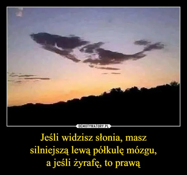
    Jeśli widzisz słonia, masz silniejszą lewą półkulę mózgu, a jeśli żyrafę, to prawą