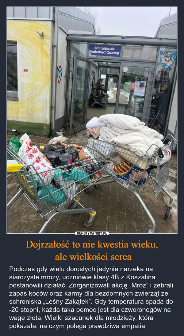 
    Dojrzałość to nie kwestia wieku, ale wielkości serca