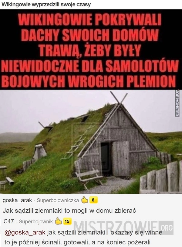 
    Wikingowie wyprzedzili swoje czasy