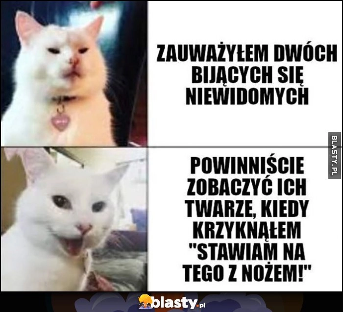 
    Zauważyłem dwóch bijących się niewidomych, powinniście zobaczyć ich twarze kiedy krzyknąłem stawiam na tego z nożem kot kotek