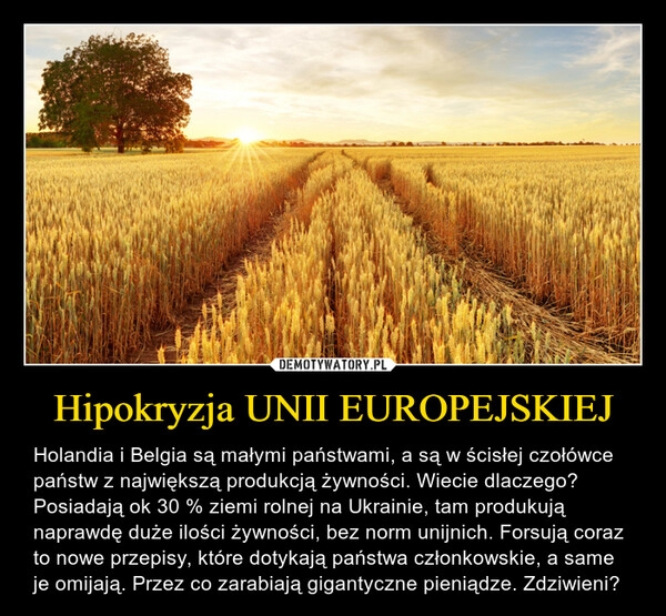 
    Hipokryzja UNII EUROPEJSKIEJ