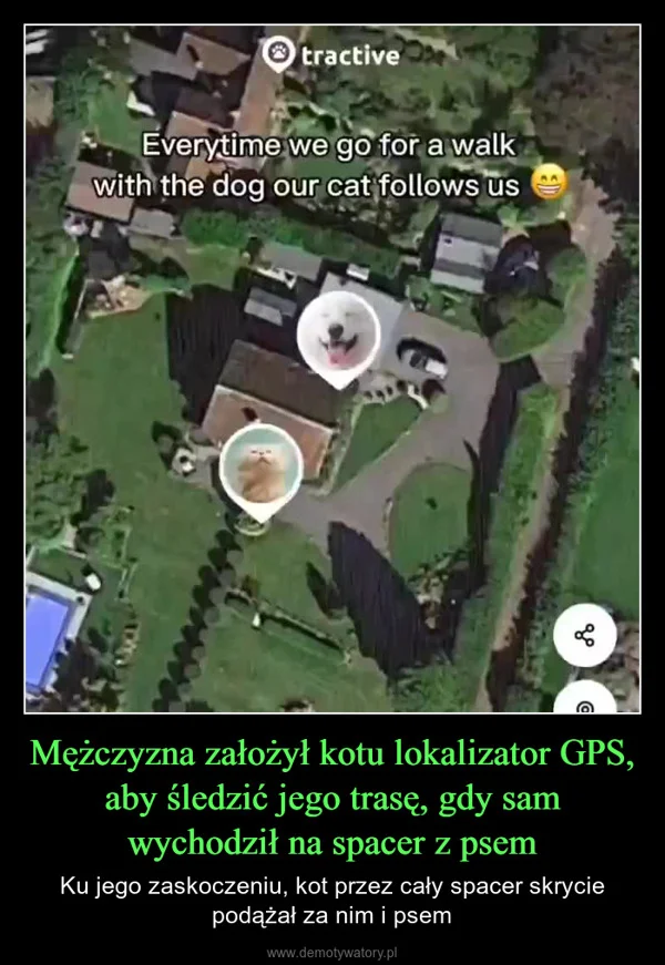 
    Mężczyzna założył kotu lokalizator GPS, aby śledzić jego trasę, gdy sam wychodził na spacer z psem