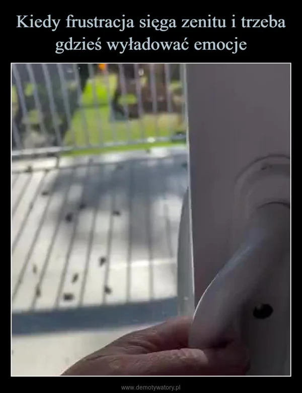 
    Kiedy frustracja sięga zenitu i trzeba gdzieś wyładować emocje
