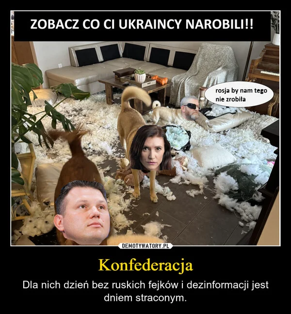 
    Konfederacja