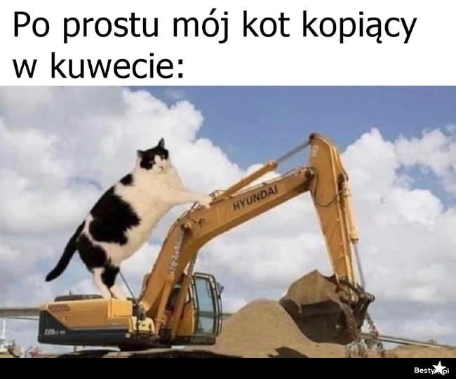 
    I poza nią 