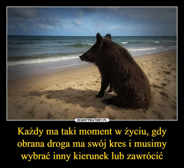 
    Każdy ma taki moment w życiu, gdy obrana droga ma swój kres i musimy wybrać inny kierunek lub zawrócić