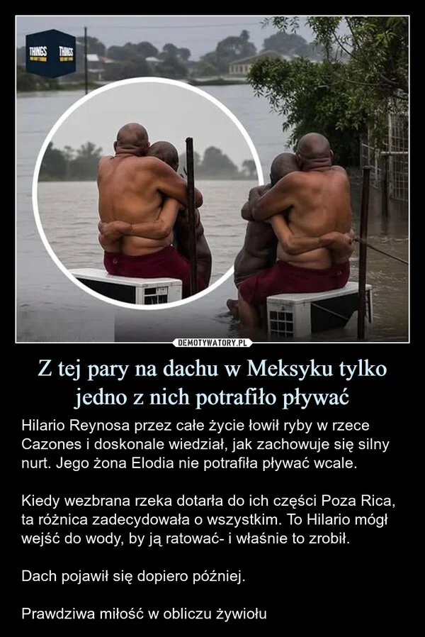 Z tej pary na dachu w Meksyku tylko jedno z nich potrafiło pływać