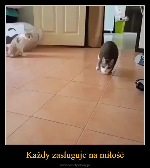 
    Każdy zasługuje na miłość