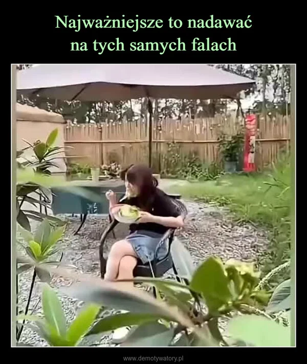 
    Najważniejsze to nadawać na tych samych falach
