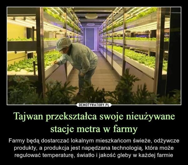 
    
Tajwan przekształca swoje nieużywane stacje metra w farmy 