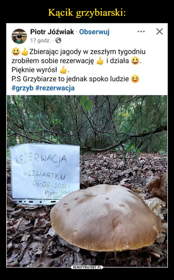 
    Kącik grzybiarski: