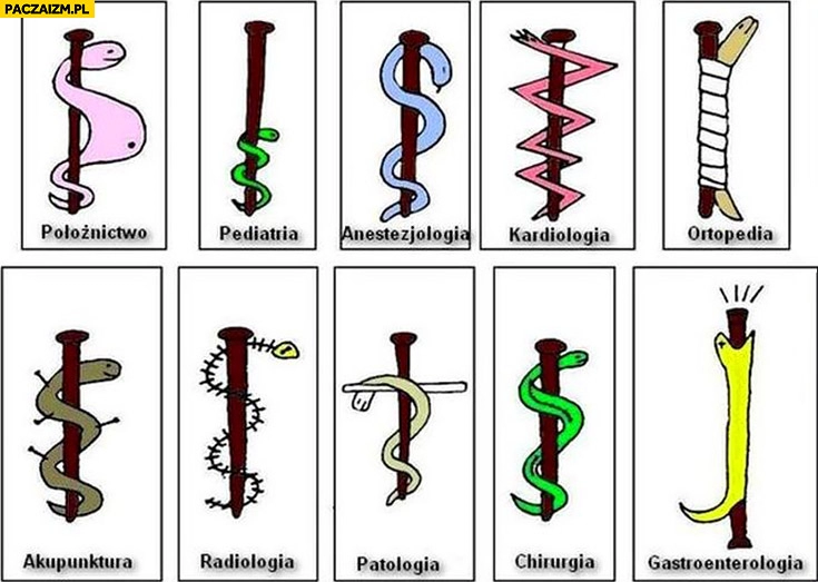 
    Wąż eskulap różne specjalizacje medyczne pokazane
