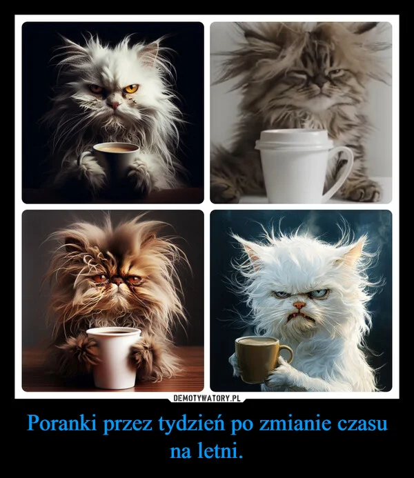 
    Poranki przez tydzień po zmianie czasu na letni.