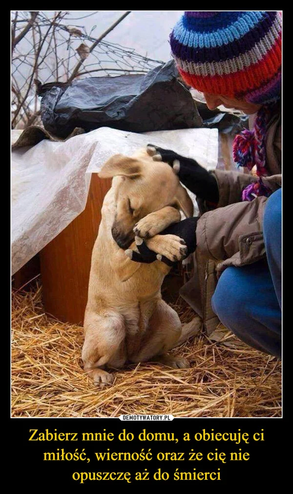 
    Zabierz mnie do domu, a obiecuję ci miłość, wierność oraz że cię nie opuszczę aż do śmierci