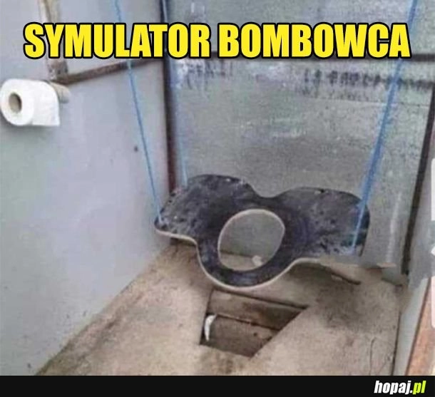 
    Symulacja
