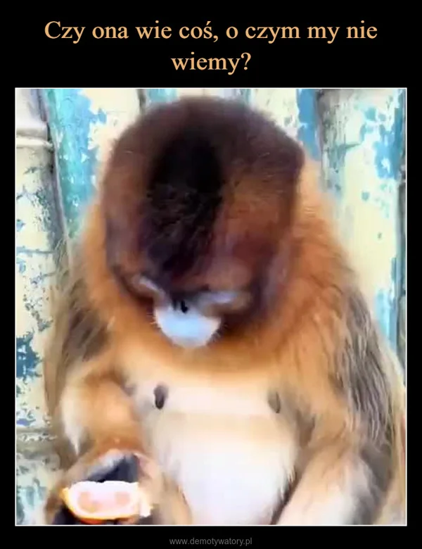 
    Czy ona wie coś, o czym my nie wiemy?