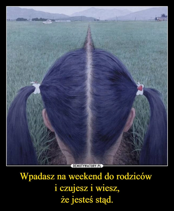 
    Wpadasz na weekend do rodziców 
i czujesz i wiesz,
że jesteś stąd.