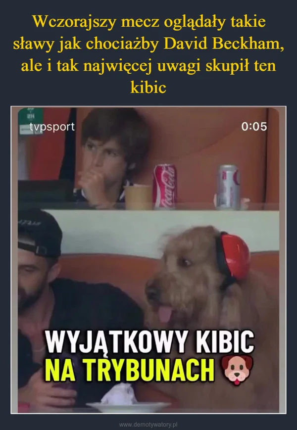 
    Wczorajszy mecz oglądały takie sławy jak chociażby David Beckham, ale i tak najwięcej uwagi skupił ten kibic