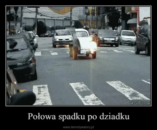 
    Połowa spadku po dziadku