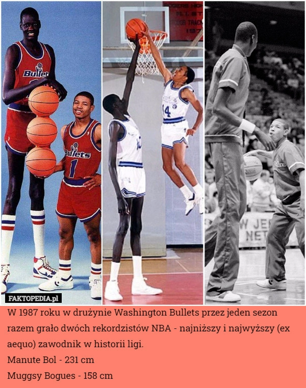 
    W 1987 roku w drużynie Washington Bullets przez jeden sezon razem grało