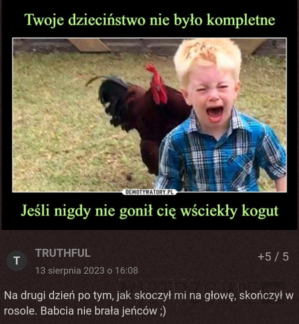 
    Wściekły kogut