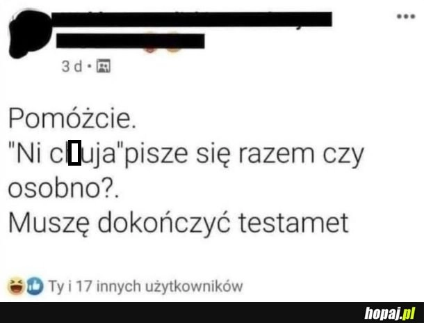 
    Pisownia