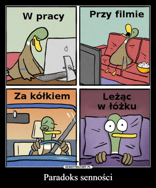 
    Paradoks senności