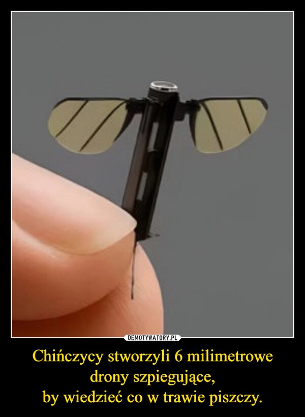
    Chińczycy stworzyli 6 milimetrowe drony szpiegujące,
by wiedzieć co w trawie piszczy.