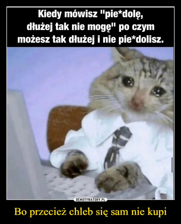 
    Bo przecież chleb się sam nie kupi