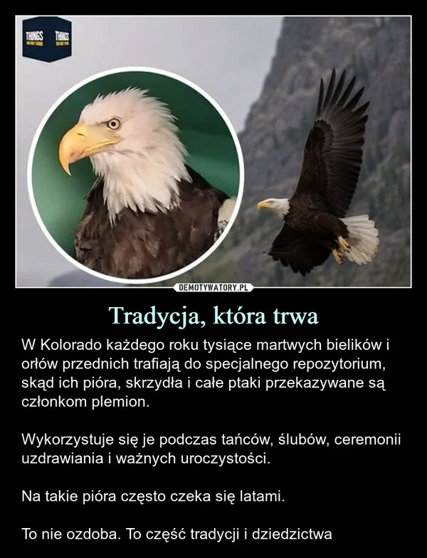Tradycja, która trwa