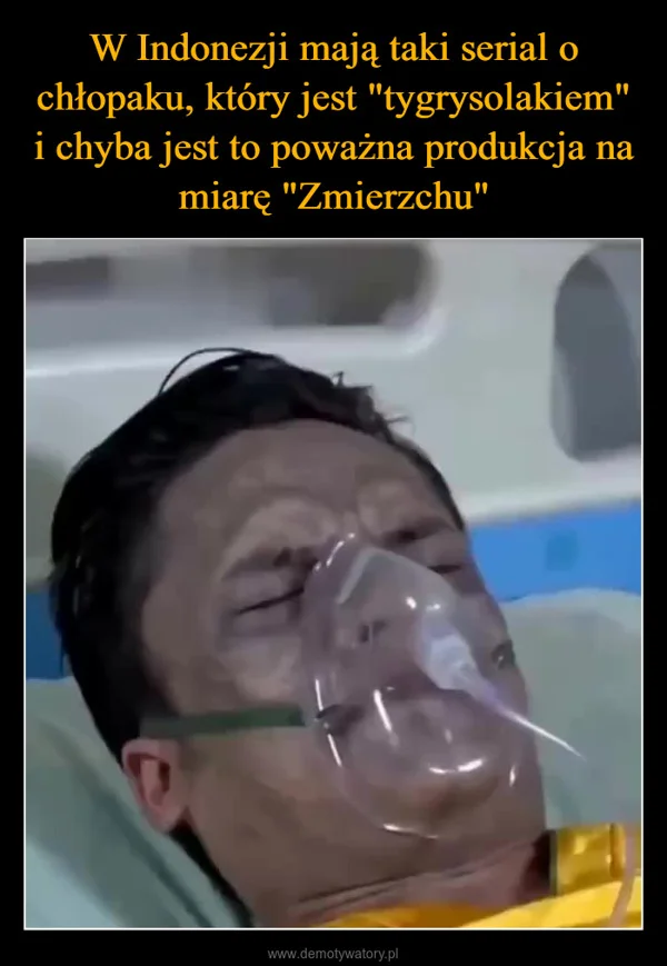 
    W Indonezji mają taki serial o chłopaku, który jest 