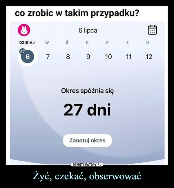 Żyć, czekać, obserwować