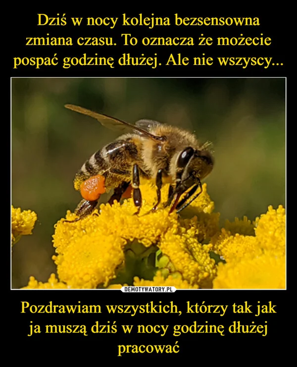 
    Dziś w nocy kolejna bezsensowna zmiana czasu. To oznacza że możecie pospać godzinę dłużej. Ale nie wszyscy... Pozdrawiam wszystkich, którzy tak jak ja muszą dziś w nocy godzinę dłużej pracować