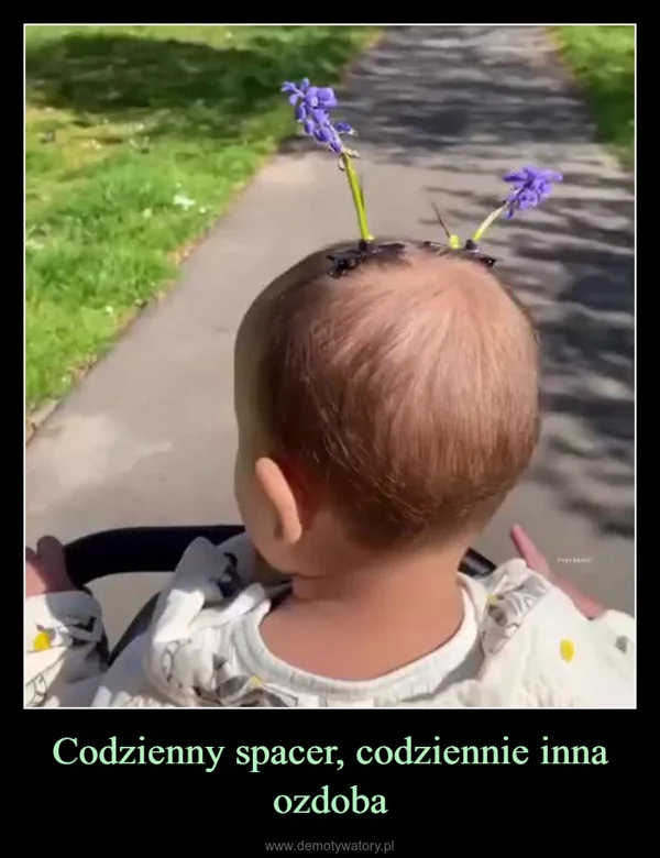 
    Codzienny spacer, codziennie inna ozdoba