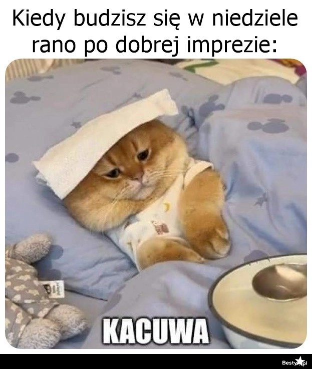 
    To będzie ciężka niedziela 