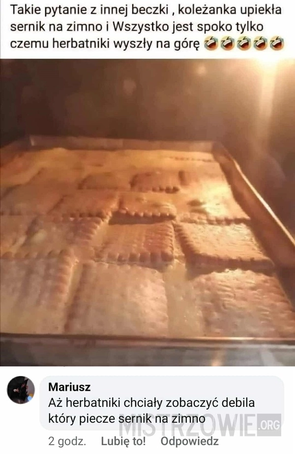 
    Sernik na zimno