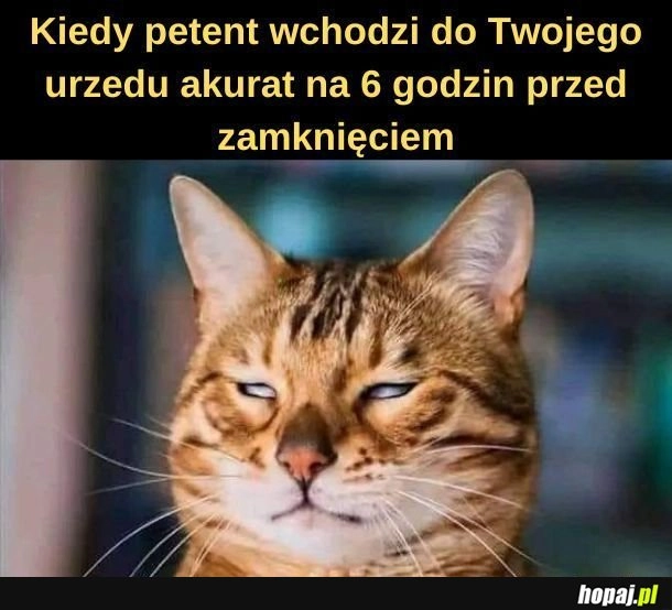 
    Urząd