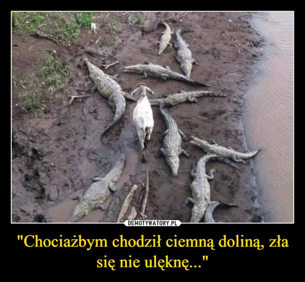 
    "Chociażbym chodził ciemną doliną, zła się nie ulęknę..."