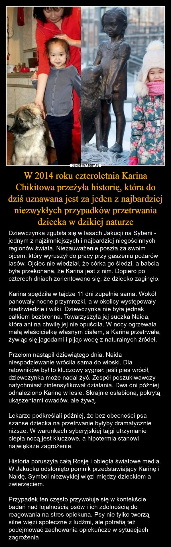 
    W 2014 roku czteroletnia Karina Chikitowa przeżyła historię, która do dziś uznawana jest za jeden z najbardziej niezwykłych przypadków przetrwania dziecka w dzikiej naturze
