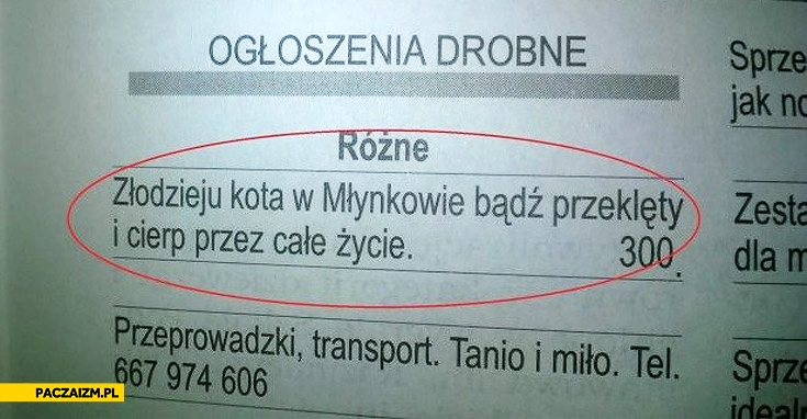 
    Złodzieju kota w młynkowie bądź przeklęty i cierp całe życie