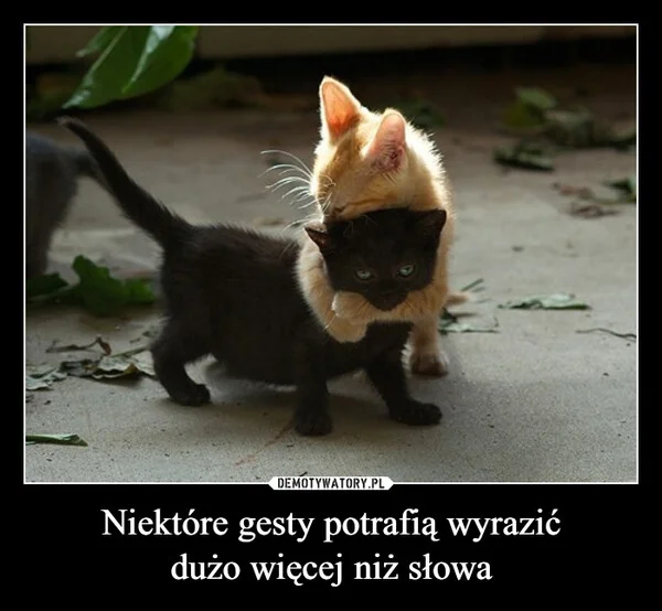 
    Niektóre gesty potrafią wyrazić dużo więcej niż słowa