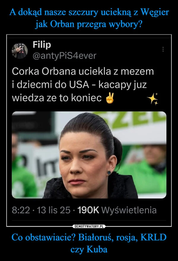 
    A dokąd nasze szczury uciekną z Węgier jak Orban przegra wybory? Co obstawiacie? Białoruś, rosja, KRLD czy Kuba