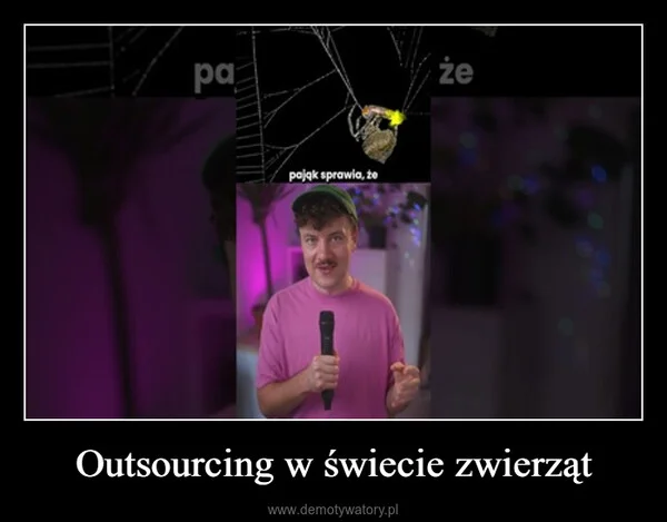 
    Outsourcing w świecie zwierząt