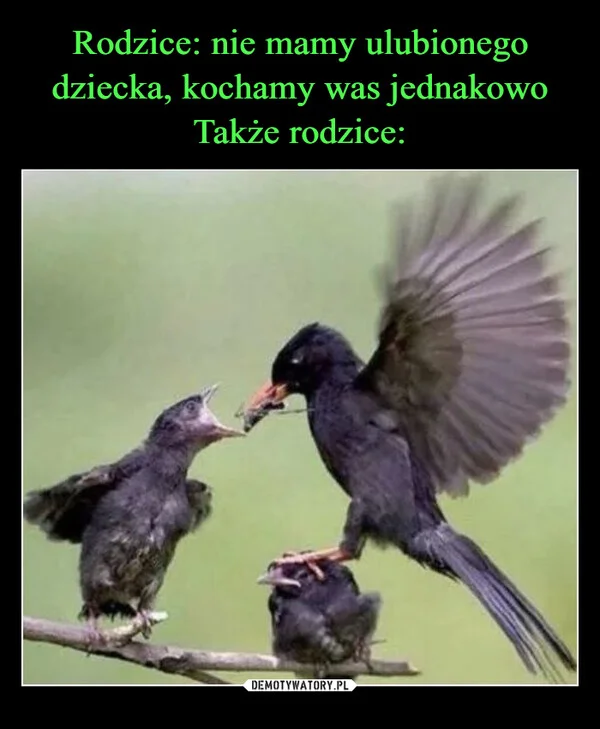 
    Rodzice: nie mamy ulubionego dziecka, kochamy was jednakowo Także rodzice: